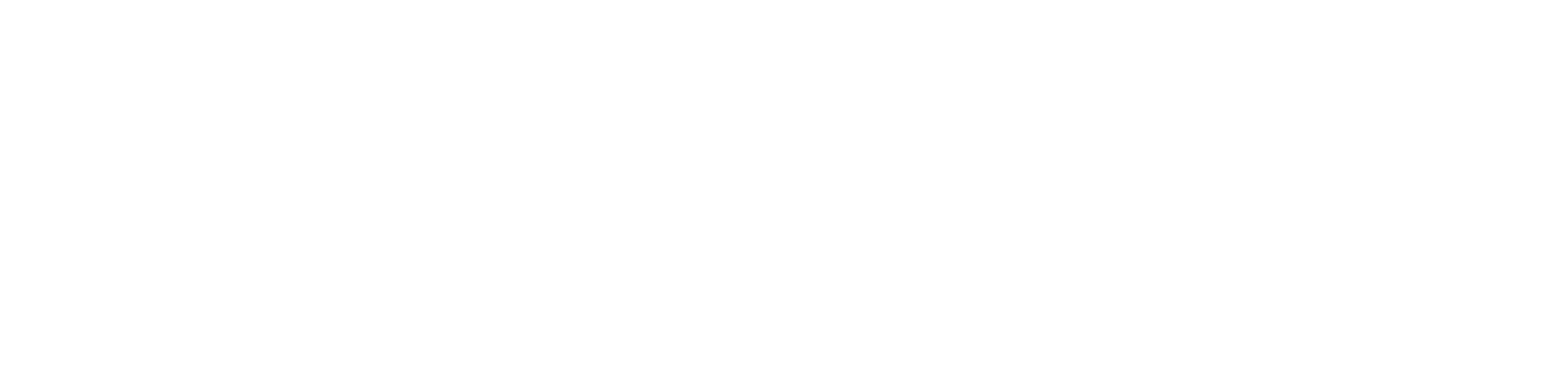 AE - Partner in Digital Excellence